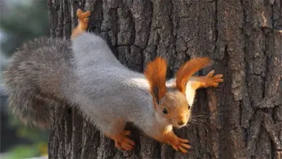 Zakon.kz, фото - Новости Zakon.kz от 14.10.2016 03:40