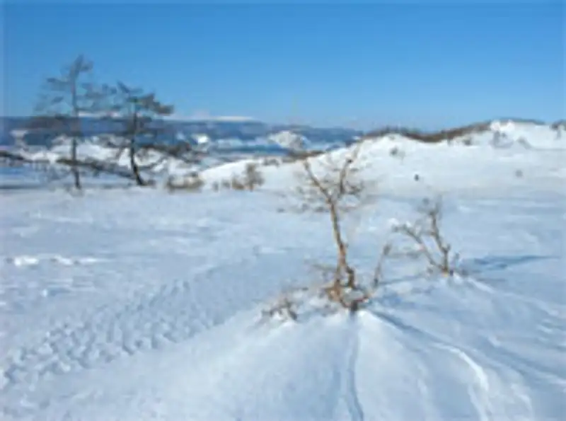 Трое детей, двое взрослых погибли, замерзнув в степи в Жамбылской области , фото - Новости Zakon.kz от 04.01.2012 15:05