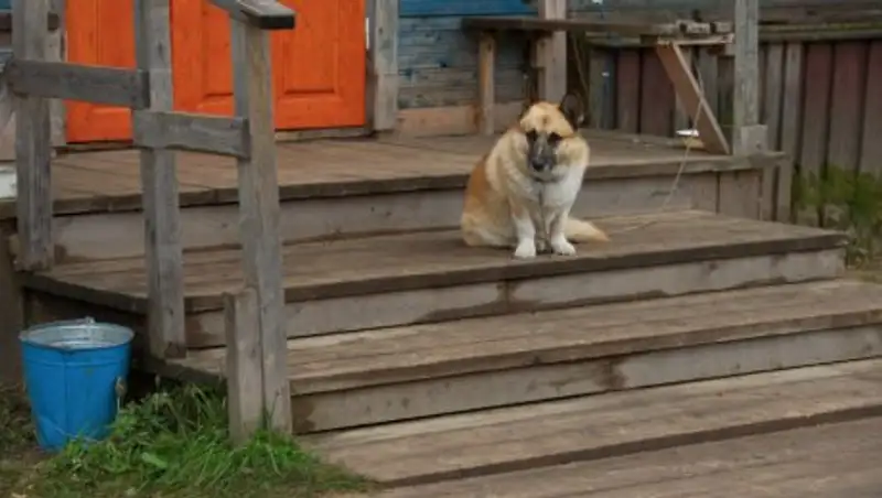 В России многодетная мать несколько месяцев прятала тело новорождённого сына под крыльцом