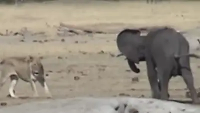 reactor, фото - Новости Zakon.kz от 20.04.2018 22:54