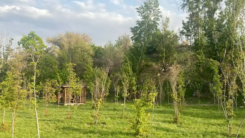 Какой будет погода в Казахстане 11 мая