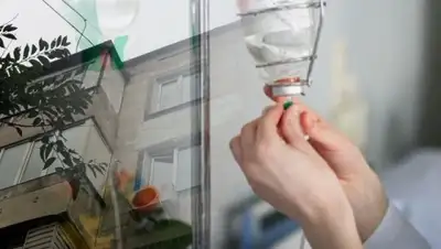 Zakon.kz, фото - Новости Zakon.kz от 12.10.2015 20:41