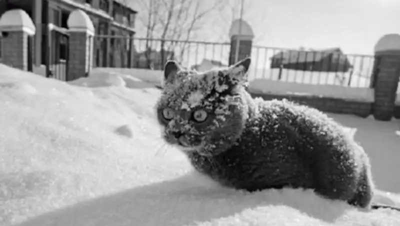 В понедельник в Казахстане местами ожидаются осадки