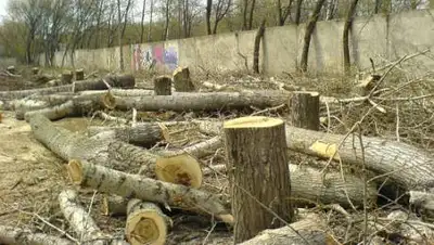 google.com, фото - Новости Zakon.kz от 10.12.2020 10:20