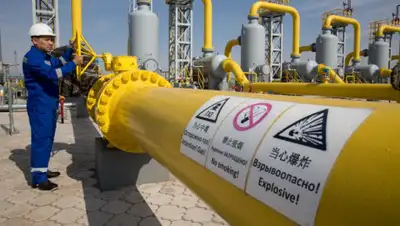 365.инфо, фото - Новости Zakon.kz от 03.04.2019 14:43