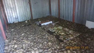 ptu.customs.ru, фото - Новости Zakon.kz от 13.06.2019 14:38