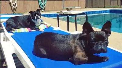 Zakon.kz, фото - Новости Zakon.kz от 22.08.2016 16:55