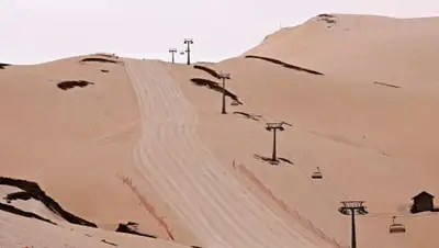 соцсети, фото - Новости Zakon.kz от 25.03.2018 12:49