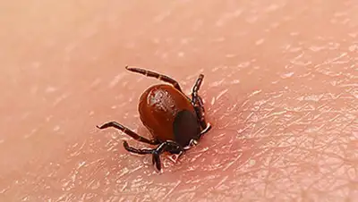 Fotolia.com, фото - Новости Zakon.kz от 03.06.2020 16:21