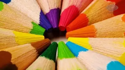 из открытых источников, фото - Новости Zakon.kz от 02.02.2019 18:13