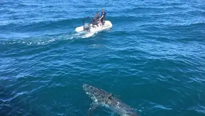 Twitter, фото - Новости Zakon.kz от 03.04.2018 01:02