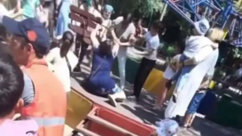 Не поделили карусель. Подравшихся женщин в парке Караганды оштрафуют