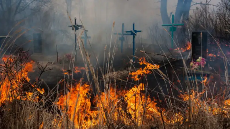 Кладбище горело в Семее