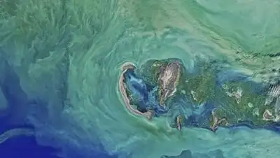 pixabay.com, фото - Новости Zakon.kz от 23.09.2021 10:49