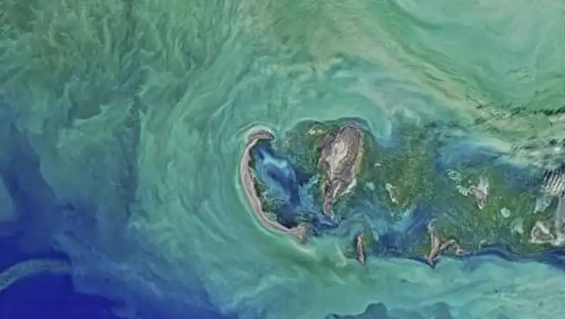 На Каспийском море усилят экологический контроль