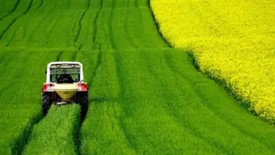 Pixabay, фото - Новости Zakon.kz от 17.04.2020 22:07