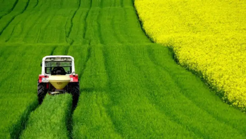 Казахстанским фермерам разрешили беспрепятственно проезжать через блокпосты