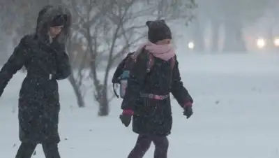 Zakon.kz, фото - Новости Zakon.kz от 20.02.2017 13:22