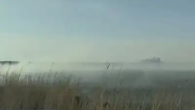 кадр из видео, фото - Новости Zakon.kz от 17.07.2019 06:14