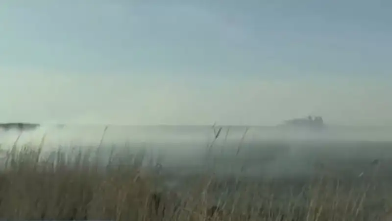 На Каспии горит резерват с краснокнижными животными