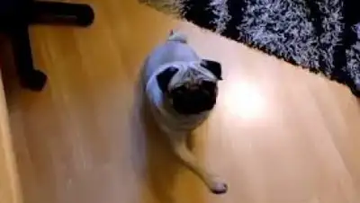 by24.org, фото - Новости Zakon.kz от 22.03.2018 01:21