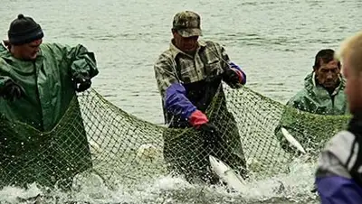 Zakon.kz, фото - Новости Zakon.kz от 18.09.2014 16:21