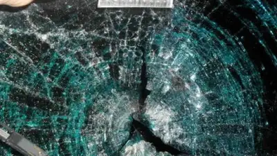 Zakon.kz, фото - Новости Zakon.kz от 11.12.2014 17:57