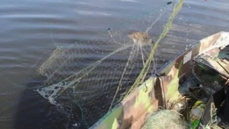 Поиски пропавшего рыбака ведутся в Акмолинской области