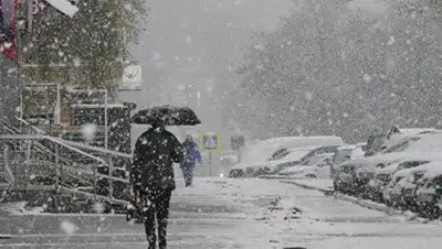 glavred.info, фото - Новости Zakon.kz от 13.12.2018 09:30