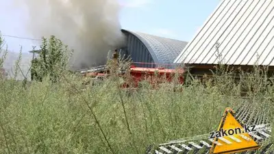 Zakon.kz, фото - Новости Zakon.kz от 02.08.2017 18:53