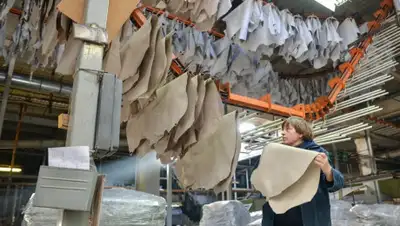 inbusiness.kz, фото - Новости Zakon.kz от 14.11.2019 23:24