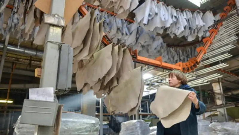 Единственный в Казахстане комбинат по переработке кожи объявлен банкротом