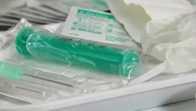 pixabay.com, фото - Новости Zakon.kz от 04.02.2019 22:59