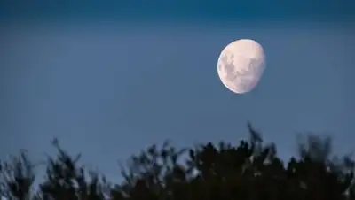 pixabay.com, фото - Новости Zakon.kz от 23.09.2021 21:48