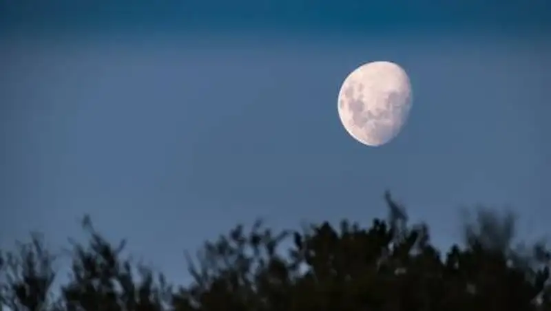 "Роскосмос" объявил тендер для подготовки к высадке человека на Луну