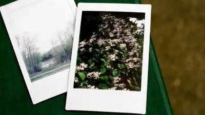 Zakon.kz, фото - Новости Zakon.kz от 19.11.2017 17:19