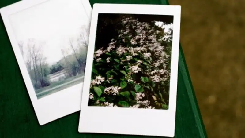 Polaroid судится с Fujifilm из-за белых рамок