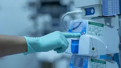 pixabay.com, фото - Новости Zakon.kz от 24.08.2021 05:56