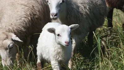Zakon.kz, фото - Новости Zakon.kz от 23.09.2015 20:31