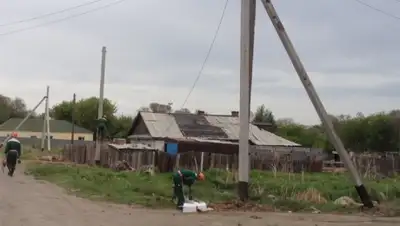 Zakon.kz, фото - Новости Zakon.kz от 15.07.2015 12:45