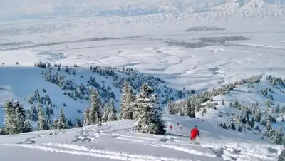 Zakon.kz, фото - Новости Zakon.kz от 09.12.2016 16:39