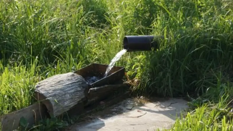 Марат Шибутов: Национальный проект "Зеленый город – зеленое село" - мощная инициатива