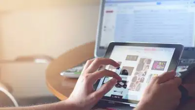 pixabay.com, фото - Новости Zakon.kz от 19.08.2021 12:16