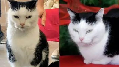 Facebook, фото - Новости Zakon.kz от 26.01.2020 22:34