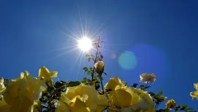 express-k.kz, фото - Новости Zakon.kz от 19.07.2018 09:49