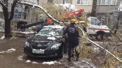 Zakon.kz, фото - Новости Zakon.kz от 02.11.2015 23:48