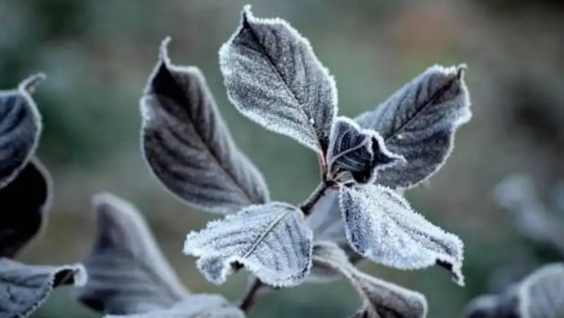 В Нур-Султане и ряде регионов объявили штормовое предупреждение