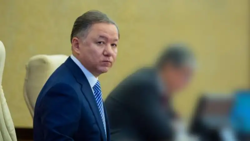 Н.Нигматулин ознакомился с проектом, реализуемым в рамках программы «Нұрлы жер»