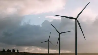 В Акмолинской области определены лучшие эко-проекты, фото - Новости Zakon.kz от 23.11.2022 17:31