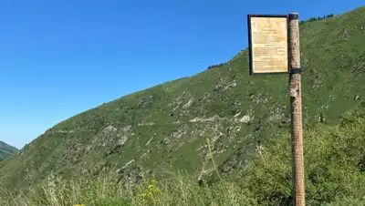 zakon.kz, фото - Новости Zakon.kz от 30.06.2020 14:40